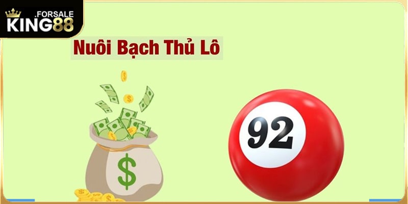 Phương pháp chọn bạch thủ lô chính xác